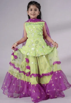 Embroidered Net Lehenga in Olive Green and Purple