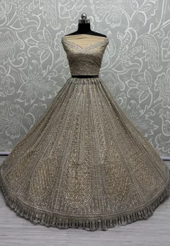 Embroidered Net Lehenga in Beige