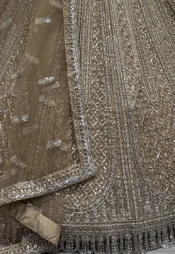 Embroidered Net Lehenga in Beige