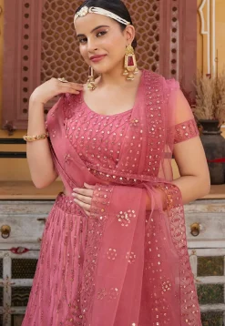 Embroidered Net Lehenga in Pink