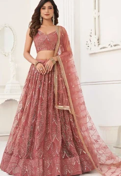 Embroidered Net Lehenga in Peach