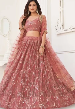 Embroidered Net Lehenga in Peach