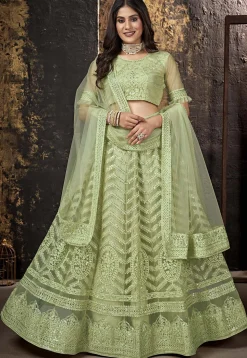 Embroidered Net Lehenga in Light Olive Green