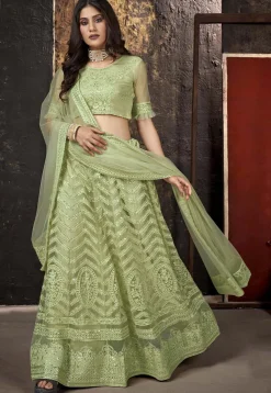 Embroidered Net Lehenga in Light Olive Green