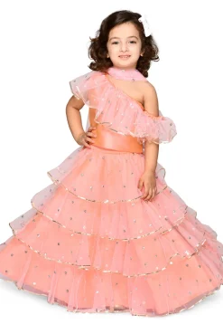 Embroidered Net Lehenga in Peach Pink