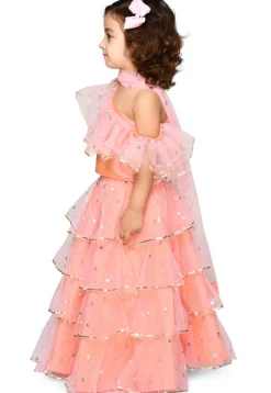 Embroidered Net Lehenga in Peach Pink