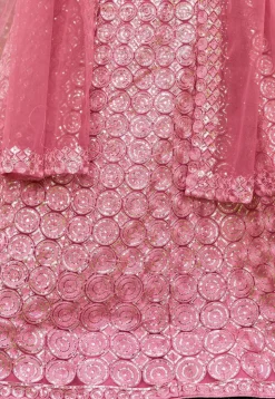 Embroidered Net Lehenga in Pink