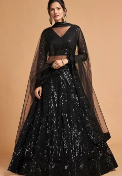Embroidered Net Lehenga in Black