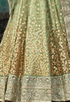 Embroidered Net Lehenga in Pastel Green