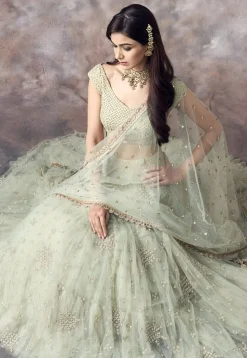 Embroidered Net Lehenga in Light Green