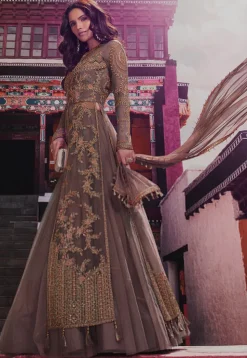 Embroidered Net Lehenga in Dark Fawn
