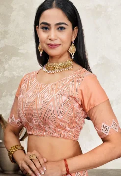 Embroidered Net Lehenga in Peach