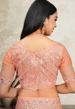 Embroidered Net Lehenga in Peach