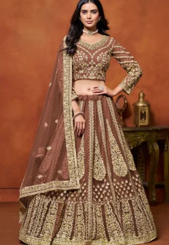 Embroidered Net Lehenga in Brown