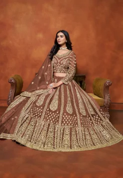 Embroidered Net Lehenga in Brown