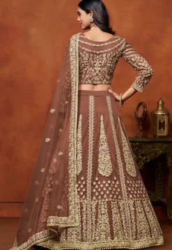 Embroidered Net Lehenga in Brown
