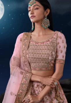 Embroidered Net Lehenga in Peach