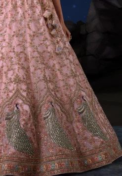 Embroidered Net Lehenga in Peach