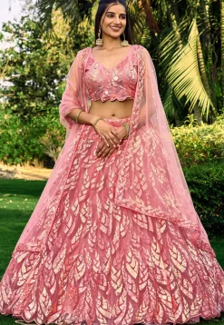 Embroidered Net Lehenga in Peach