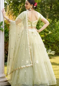 Embroidered Net Lehenga in Light Green