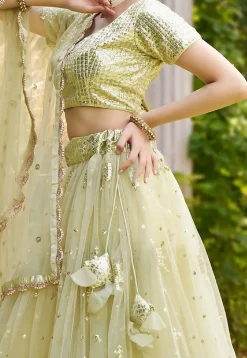 Embroidered Net Lehenga in Light Green