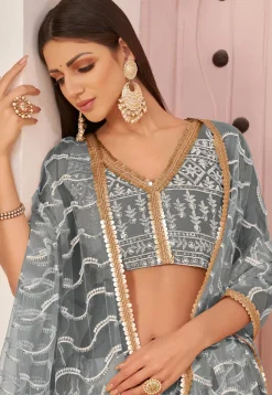 Embroidered Net Lehenga in Grey