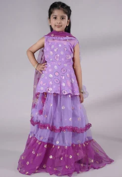 Embroidered Net Lehenga in Purple
