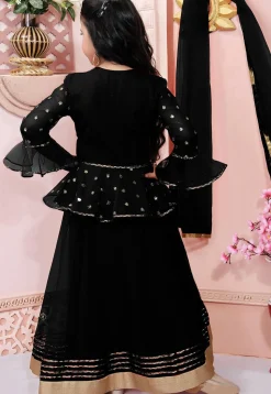 Embroidered Net Lehenga in Black