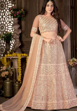 Embroidered Net Lehenga in Peach