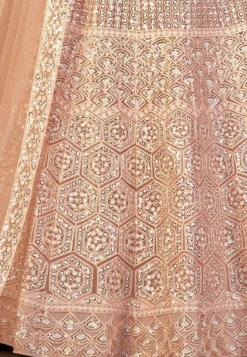 Embroidered Net Lehenga in Peach