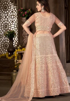 Embroidered Net Lehenga in Peach