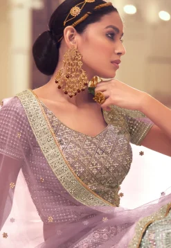 Embroidered Net Lehenga in Purple