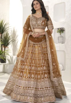 Embroidered Net Lehenga in Brown