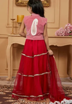 Embroidered Net Lehenga in Maroon