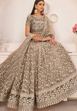 Embroidered Net Lehenga in Beige