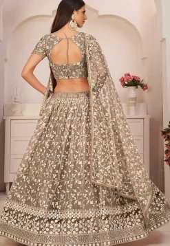 Embroidered Net Lehenga in Beige