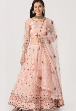 Embroidered Net Lehenga in Light Peach