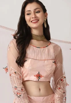 Embroidered Net Lehenga in Light Peach