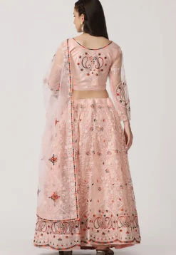 Embroidered Net Lehenga in Light Peach