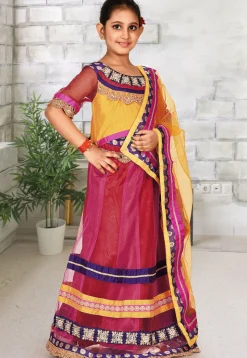 Embroidered Net Lehenga in Red and Pink