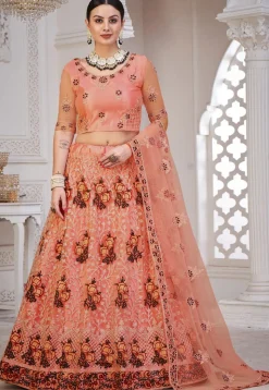 Embroidered Net Lehenga in Peach