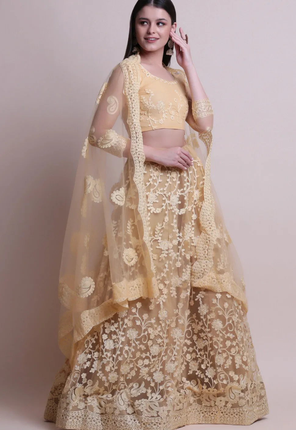 Embroidered Net Lehenga in Beige