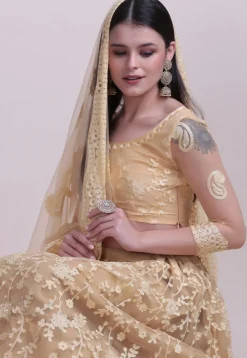 Embroidered Net Lehenga in Beige