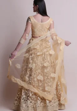 Embroidered Net Lehenga in Beige