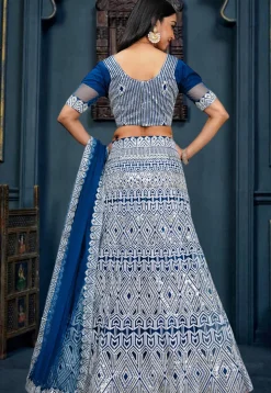 Embroidered Net Lehenga in Blue
