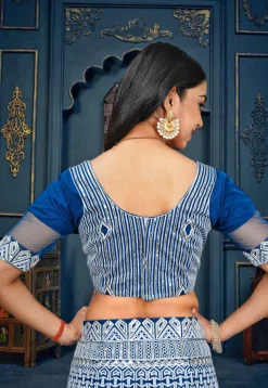 Embroidered Net Lehenga in Blue