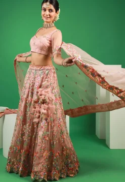 Embroidered Net Lehenga in Peach