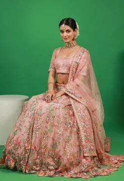 Embroidered Net Lehenga in Peach