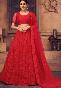 Embroidered Net Lehenga in Red