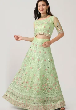Embroidered Net Lehenga in Light Green